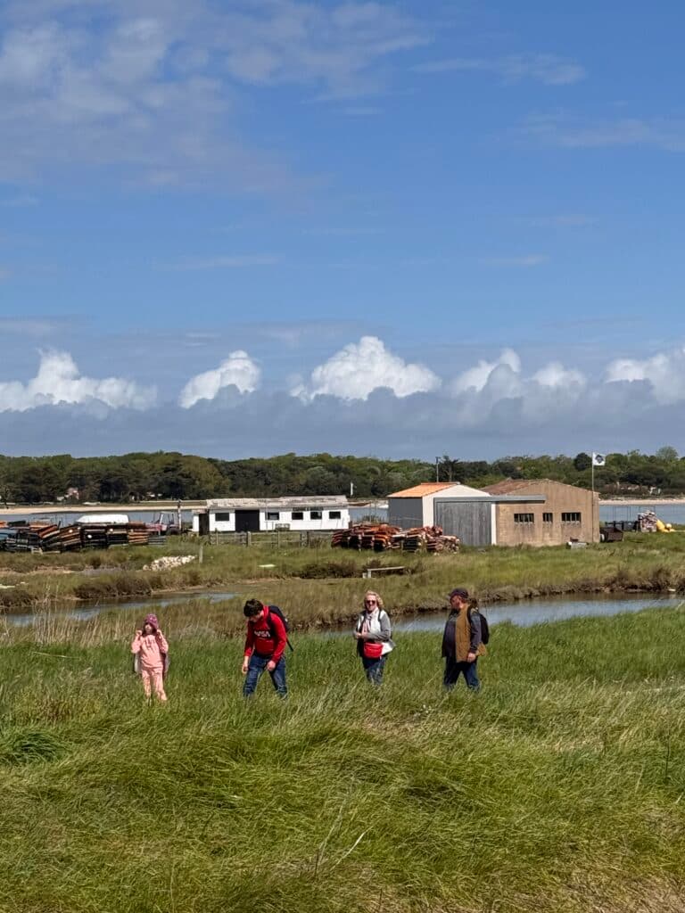 Île d’Aix : le dernier ostréiculteur se bat pour sauver un savoir-faire en voie de disparition
